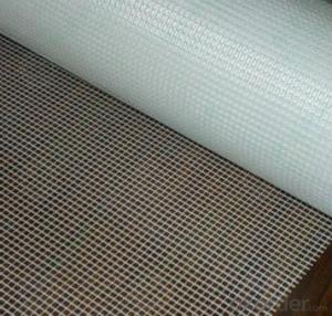 Fiberglass Mesh Cloth of Standard with Low Price System 1