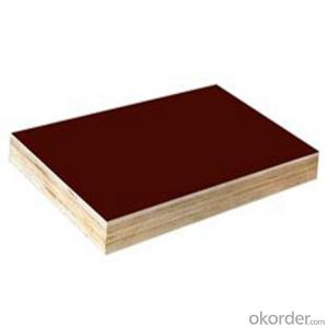 Brown Film Faced Plywood 1220*2440*18mm with Competitive Price