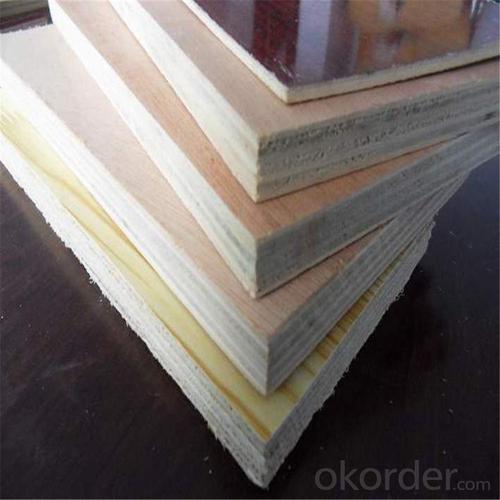 Film Faced Plywood for Construction with High Quality System 1