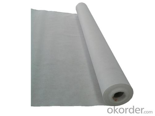 Polyethylene Polymer Composite Waterproofing Membrane System 1