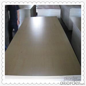 Film Faced Plywood with White Color Face for Highest Quality System 1