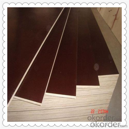 18mm Thickness Brown Color Film Faced Plywood System 1