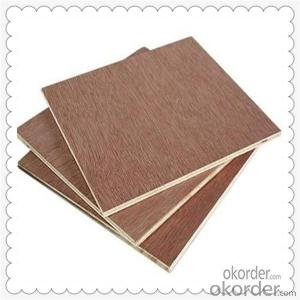 Birch Core Plywood for Furniture and Indoor Usage