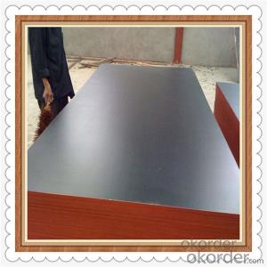 Brown Color Film Faced Plywood with Lowest Price and High Quality System 1