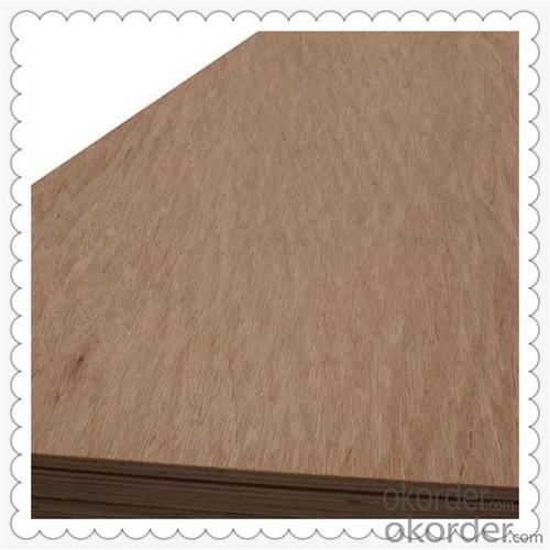 Film Faced Plywood for Stairs and Indoor Usage System 1