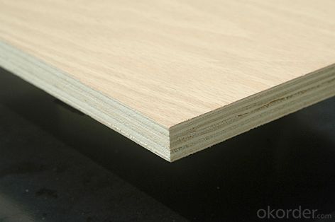 Birch Plywood B/BB 1220*2440*18 mm Commercial Plywood Sheets System 1