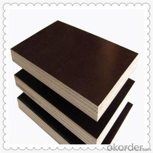 Poplar Core Brown Color Film Faced Plywood 18mm Thickness