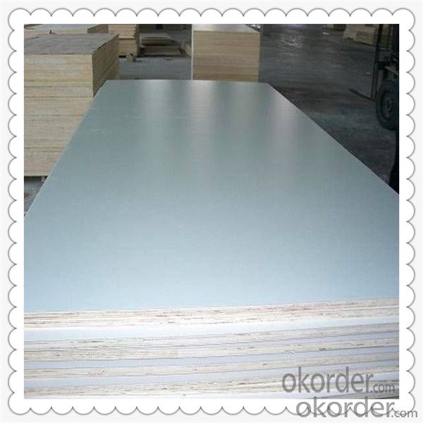 White Color 4'*8‘ feet Poplar and Hardwood Core Film Faced Plywood