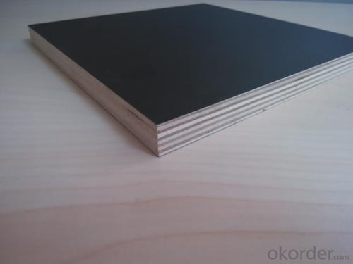 Plywood Prices 4x8 - Film Faced Plywood for Construction with Many Years' Experience System 1