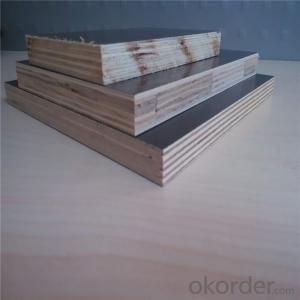 Veneer Faced Plywood for Construction with 11 Years' Experience System 1