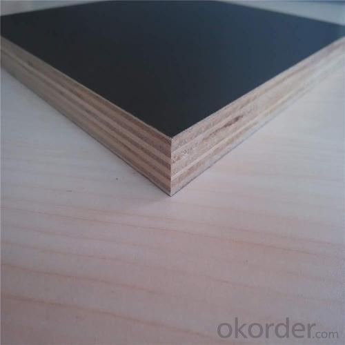 4x8x1 2 Filmed Faced Plywood for Hot Sale System 1