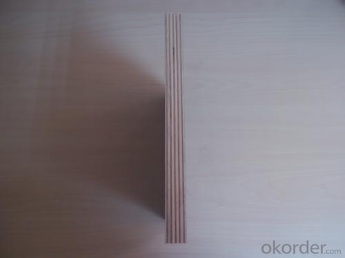 Birtch Plywood Veneer Faced with High Quality System 1