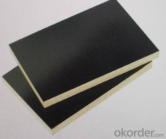 Film Faced Plywood Black o Brown  for Construction