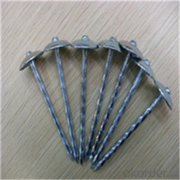 Umbrella Head Roofing Nails Galvanized Q195 /Q235 Factory