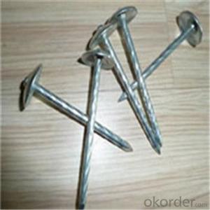 Umbrella Head Roofing Nails Hot Dipped and Electro Galvanized Factory