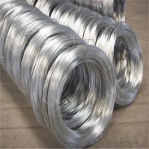 Galvanized Iron Wire/Hot Dipped and Electro Galvanized SGS Durable Quality BWG1-38 System 1
