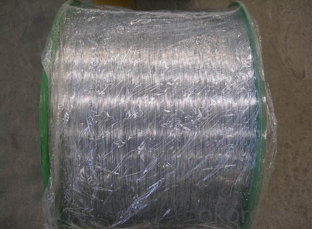 Galvanized Steel Wire with All Kinds of Specifications