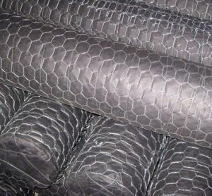 Galvanized Hexagonal Wire Netting 3/4 Inch for construction