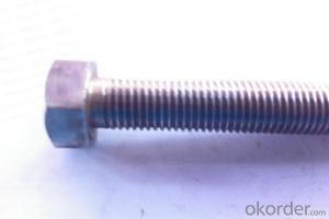 SS Hex Bolt,Steel Hex Head Bolt,DIN 933 Brass Hex Bolt With Washer And Nut