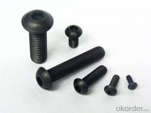 Truss Head Carriage Bolt DIN603 hdg Grade 8.8 Bolt and Nuts