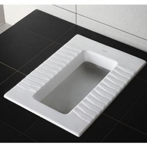 Wash Down Sanitary Squating Pan  -  5014 System 1