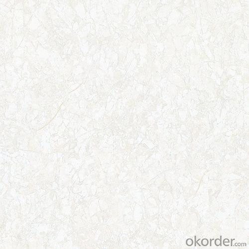 Polished Porcelain Tile Ice Age Serie CMAX46601/46602/46603 System 1