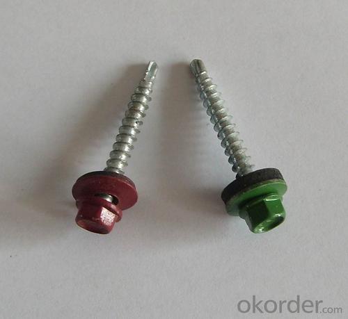 SS Socket Head Cap Screw Self Drilling Screw /Self Tapping Screw High Quality System 1