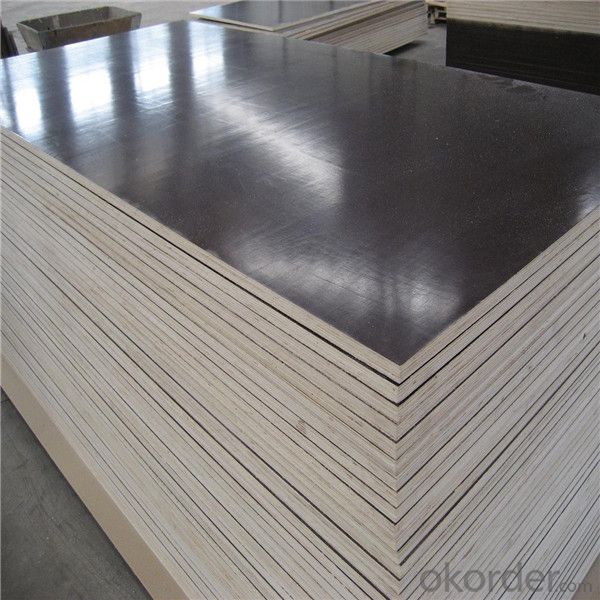 Film Faced Plywood/Shuttering Plywood/Construction Plywood/Marine Plywood