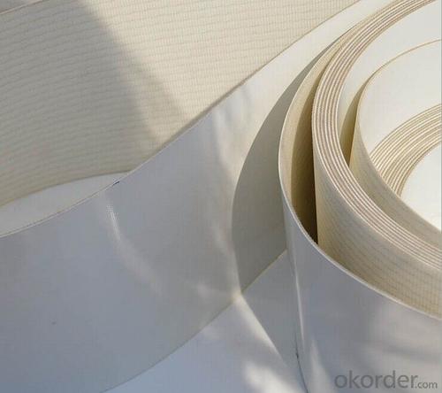 White PVC PU Conveyor Belt in Food Industry System 1