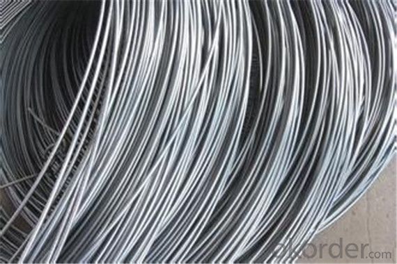 SAE1006 Hot Rolled Steel Wire Rod 6.5mm with in China System 1