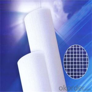 Alkali Resistant  Fiberglass Mesh Cloth With High Strength 160g/m2 5*5/inch System 1