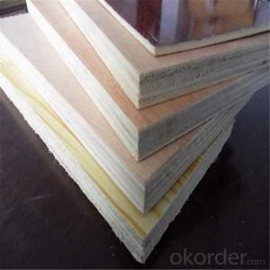 Film Faced Plywood from China with 6 Years' Experience System 1