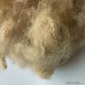 Polyester Staple Fiber,1.2D-18D available System 1