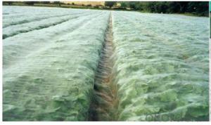 New Virgin HDPE Anti-insect Nets for Garden