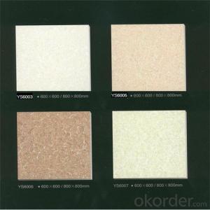 Porcelain Tile Polished Soluble Salt A6010 System 1