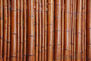Natural Bamboo Sticks Natural Bamboo Stick