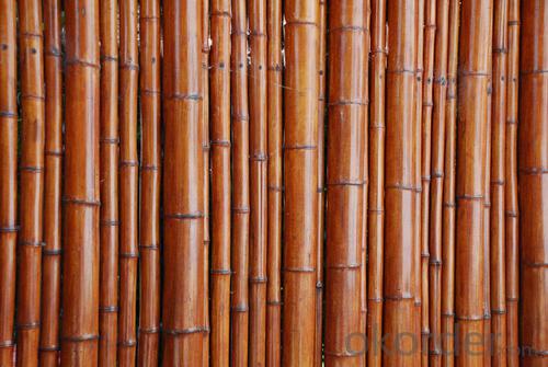 Natural Bamboo Sticks Natural Bamboo Stick System 1