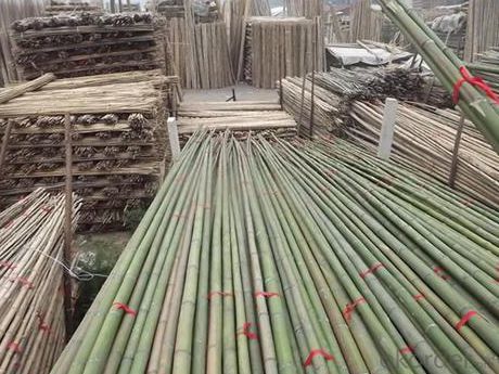 Natural White Bamboo Pole Natural White Bamboo System 1