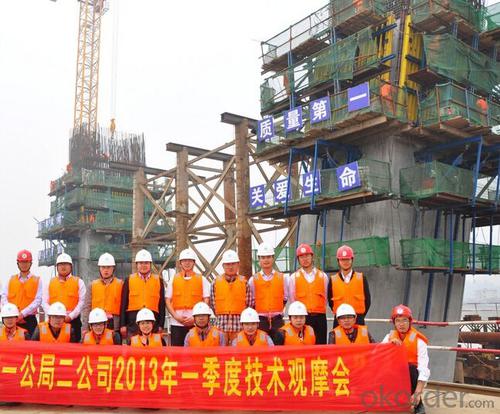 Auto-climbing Formwork with High Efficiency and Lower Labor Cost System 1