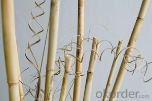 Natural Bamboo Tonkin Sticks for Decoration System 1
