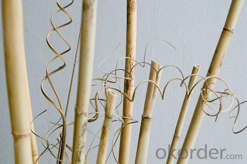 Natural Bamboo Tonkin Sticks for Decoration System 1