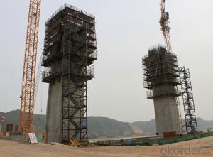 Auto-climbing Formwork with High Speed Construction System 1