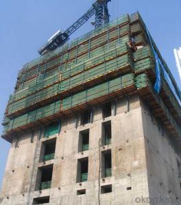 Auto-climbing Formworks for Government Building Construction System 1