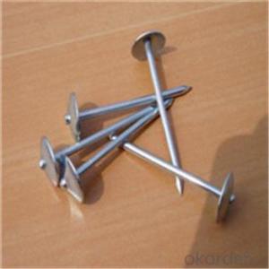 Different Head Shape Roofing Nails CNBM Brand with High Quality System 1