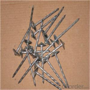 Zinc Plated Roofing Nails Stainless Steel Roofing Nails From CNBM
