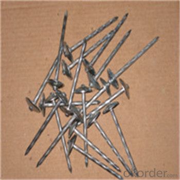Electro Galvanized Roofing Nails Customised Different Kind of Nails