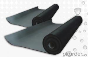 EPDM Coiled Rubber Waterproof Membrane with 0.8mm Thickness