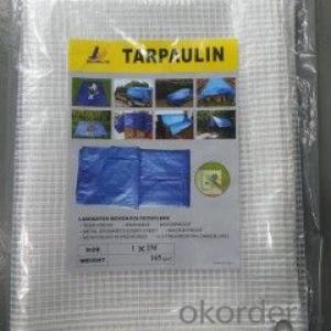 ISO Standard PE Tarpaulin for Waterproof