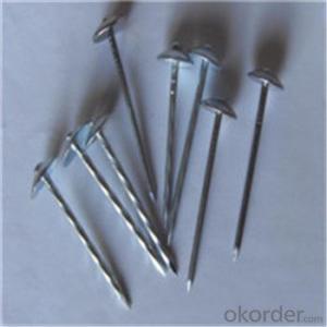 Electro Galvanized Roofing Nails Customised Different Kind of Nails
