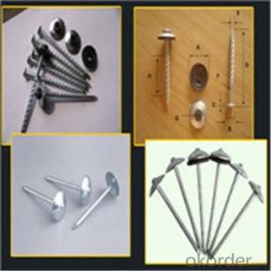 Zinc Coating Roofing Nails Customised Commen Nails with Best Price